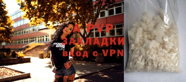 дживик Абинск